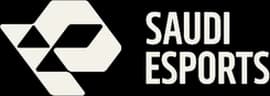 Saudi Esports Federation